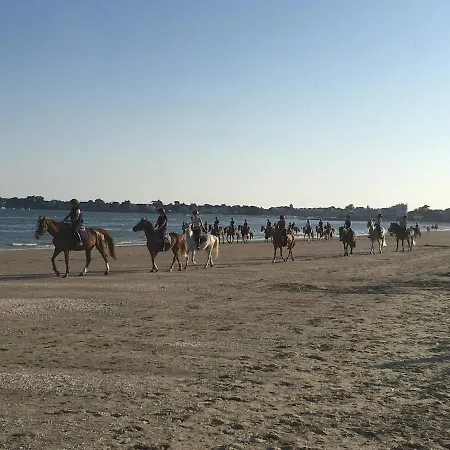 25m Benoit Grands 3p Salon 2 65m2 *