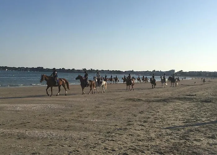 25m Benoit Grands 3p Salon 2 65m2 *